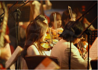 Comença l’any amb la marxa&nbsp;Radetzky
